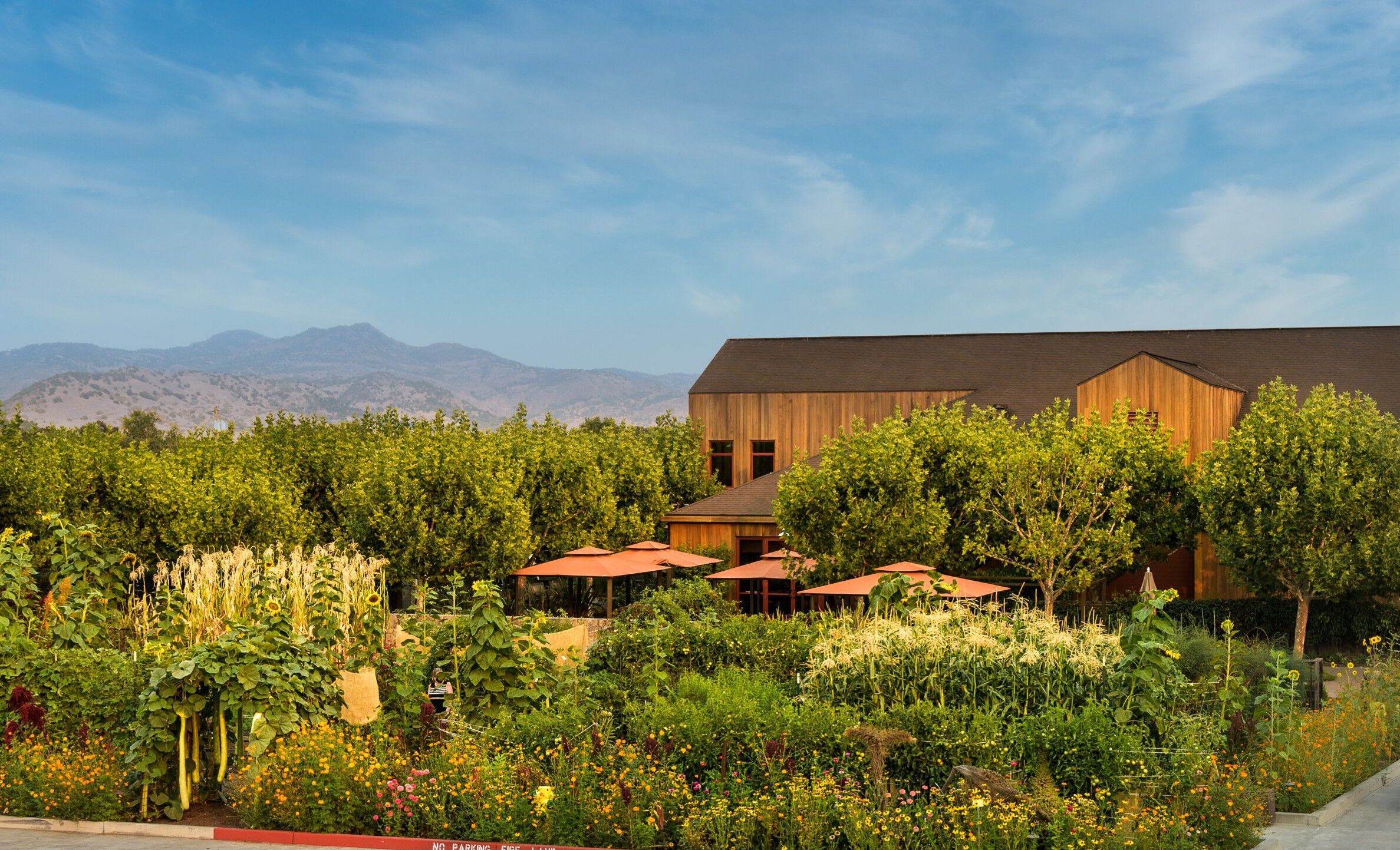 Cakebread Cellars Courtyard 